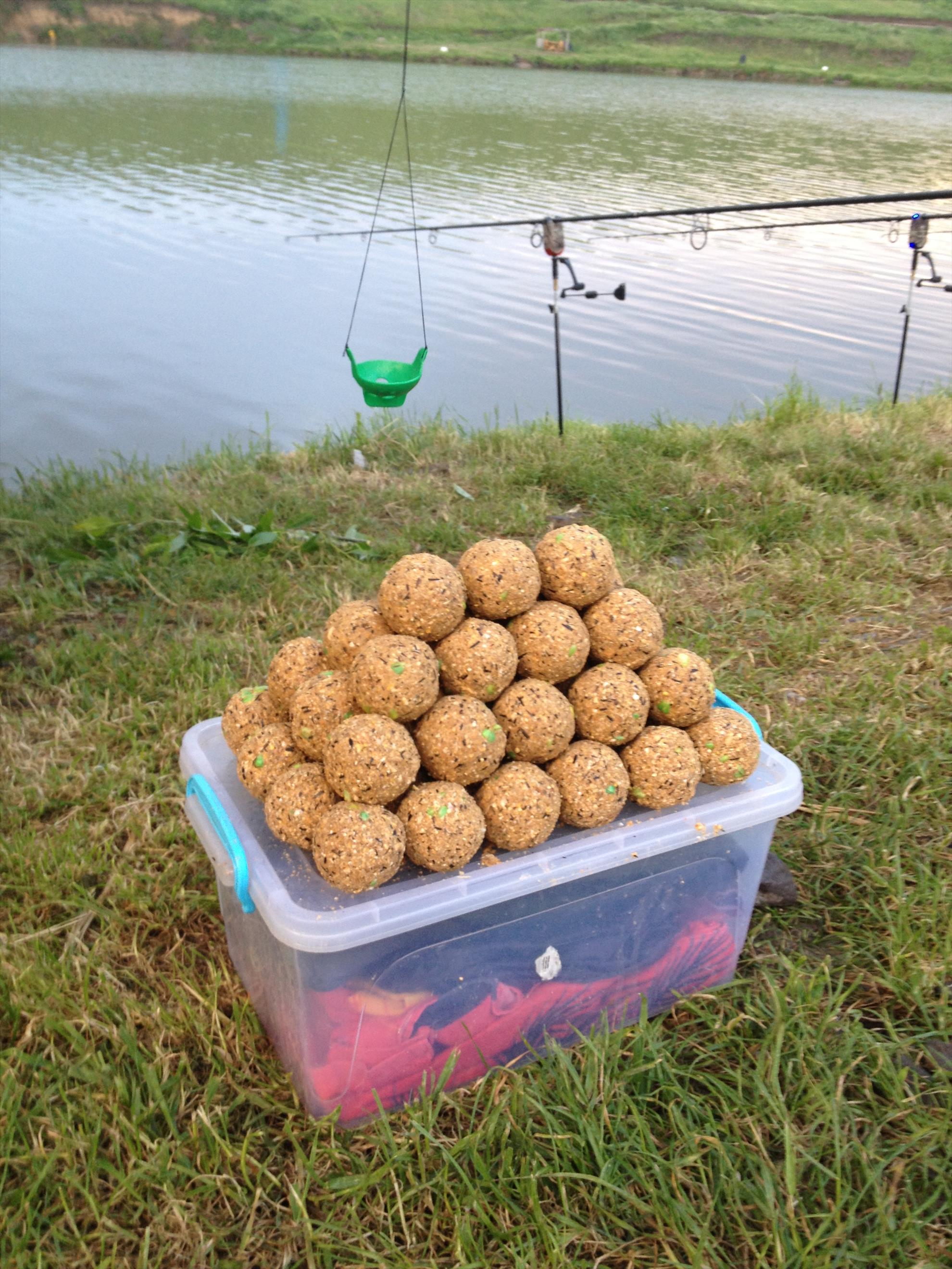 sulimanu - img1205.JPG